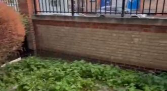 Flat in Westbourne park – LONDON شقة ايجار في لندن